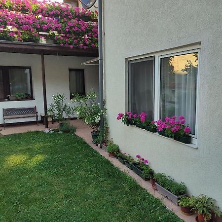 Apartman Mitic Pozarevac Luaran gambar